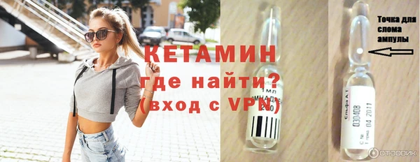 шишки Арсеньев