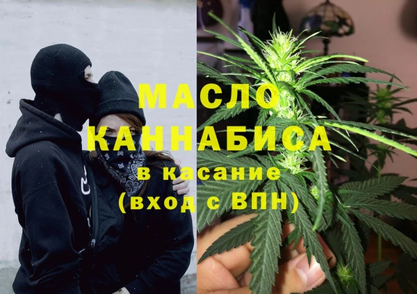 шишки Арсеньев