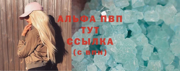 шишки Арсеньев