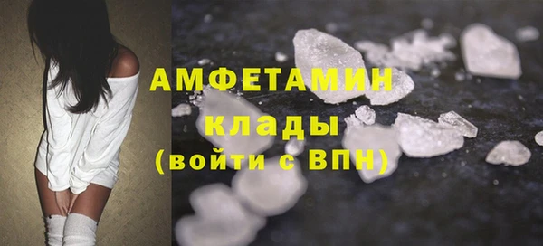 шишки Арсеньев
