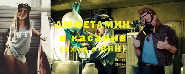 шишки Арсеньев