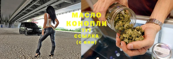 шишки Арсеньев