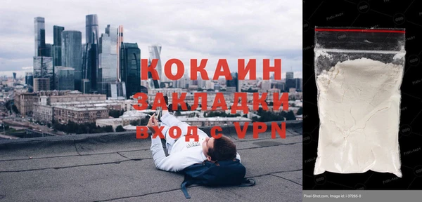 шишки Арсеньев