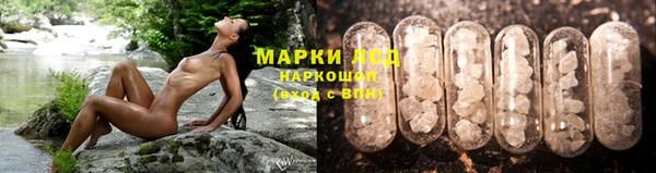 шишки Арсеньев
