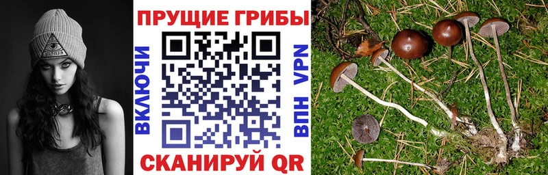 Галлюциногенные грибы мухоморы  Суоярви 